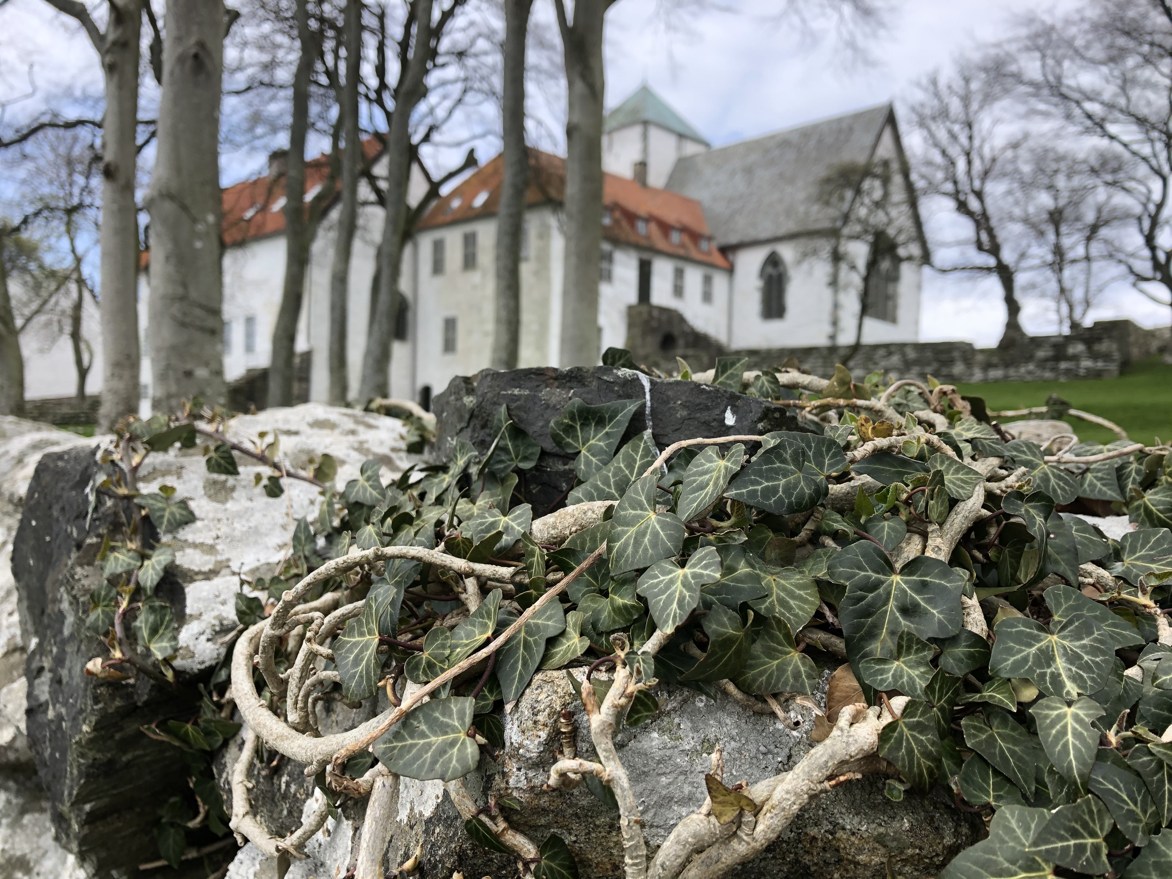 Utstein kloster, eføy